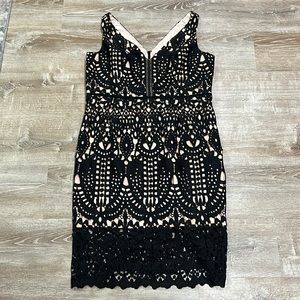 NWT City Chic all over lace dress size 20.
